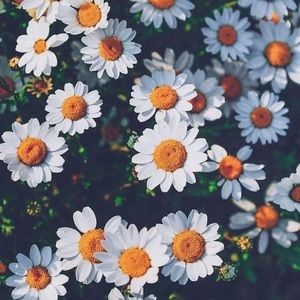 Meet your Posher, Gabriella